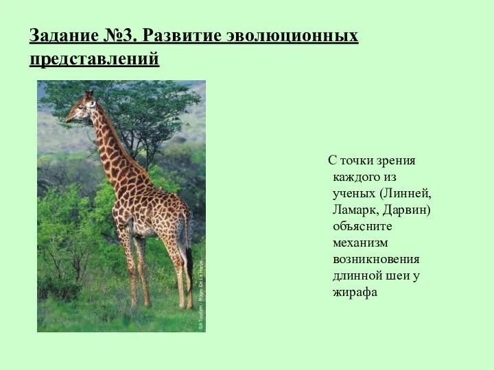 Задание №3. Развитие эволюционных представлений С точки зрения каждого из ученых (Линней,