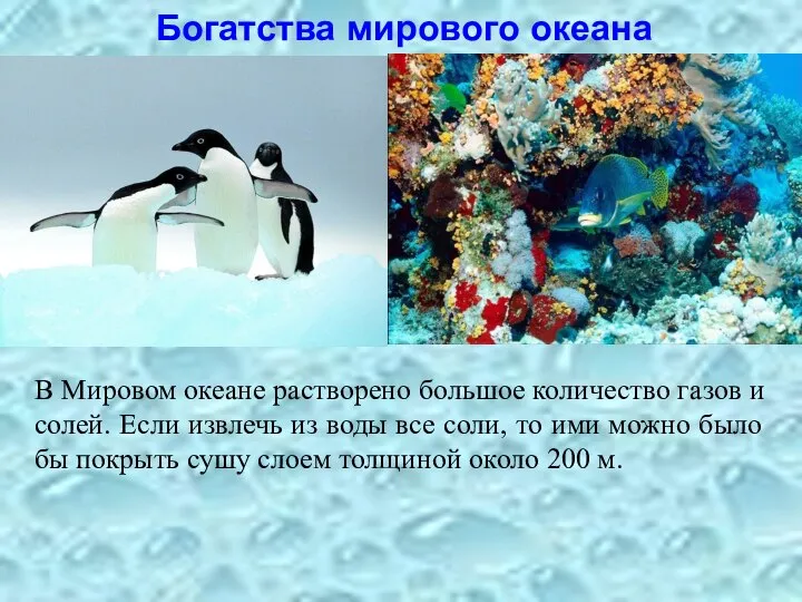 Богатства мирового океана В Мировом океане растворено большое количество газов и солей.