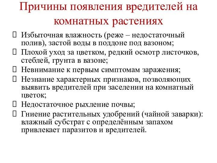 Причины появления вредителей на комнатных растениях Избыточная влажность (реже – недостаточный полив),