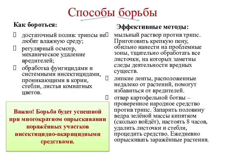 Способы борьбы Как бороться: достаточный полив: трипсы не любят влажную среду; регулярный