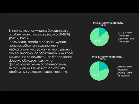 В двух микропопуляциях большинство особей имеют полоску (около 80-86%) (Рис.2, Рис.4). Возможно,