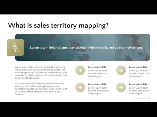 What is sales territory mapping? Lorem ipsum dolor sit amet, consectetur adipiscing