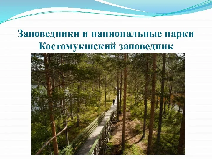 Заповедники и национальные парки Костомукшский заповедник