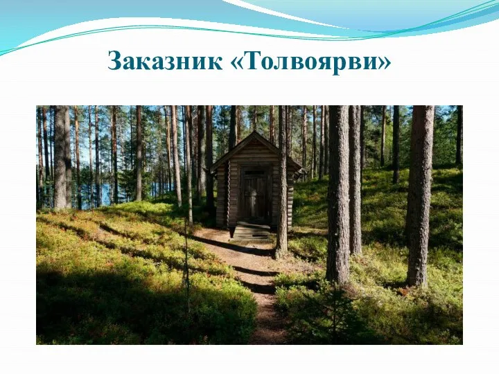 Заказник «Толвоярви»