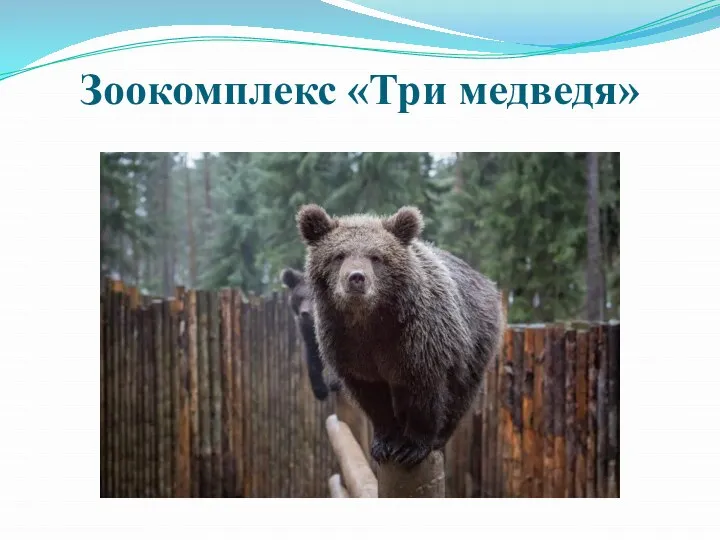 Зоокомплекс «Три медведя»