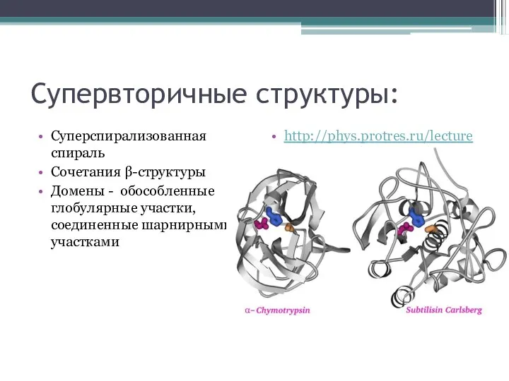 Супервторичные структуры: Суперспирализованная спираль Сочетания β-структуры Домены - обособленные глобулярные участки, соединенные шарнирными участками http://phys.protres.ru/lectures/protein_physics/l01.html