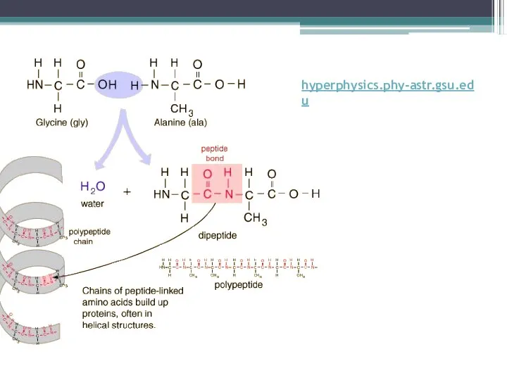 hyperphysics.phy-astr.gsu.edu