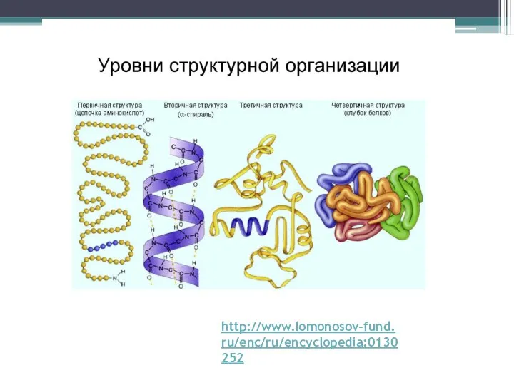 http://www.lomonosov-fund.ru/enc/ru/encyclopedia:0130252