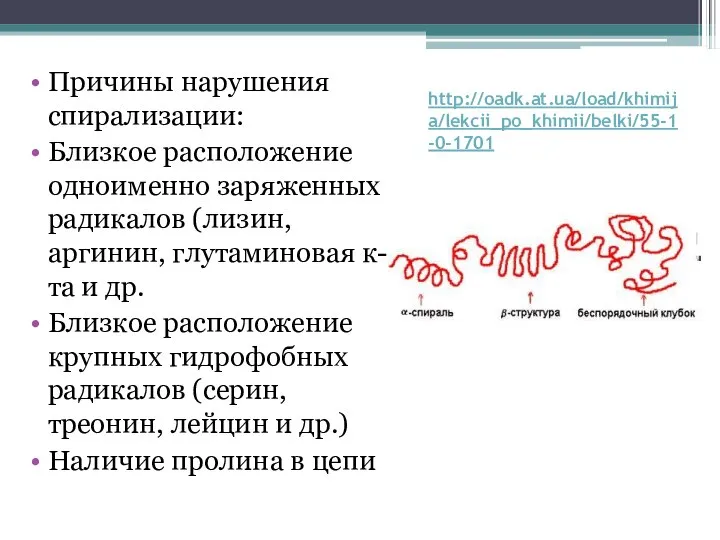 http://oadk.at.ua/load/khimija/lekcii_po_khimii/belki/55-1-0-1701 Причины нарушения спирализации: Близкое расположение одноименно заряженных радикалов (лизин, аргинин, глутаминовая