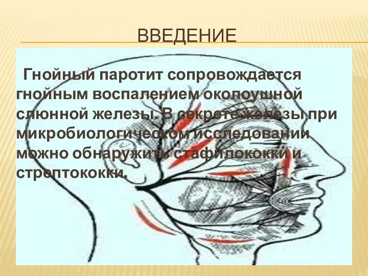 ВВЕДЕНИЕ Гнойный паротит сопровождается гнойным воспалением околоушной слюнной железы. В секрете железы