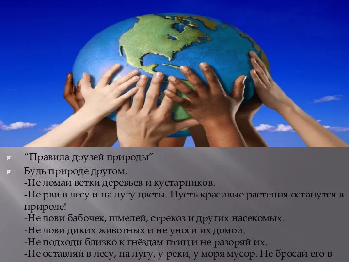 “Правила друзей природы” Будь природе другом. -Не ломай ветки деревьев и кустарников.