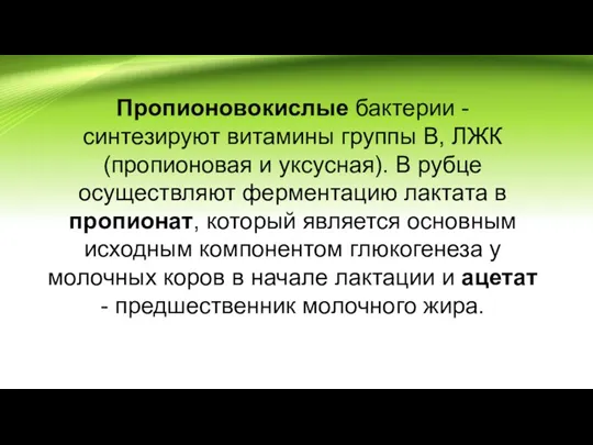 Пропионовокислые бактерии - синтезируют витамины группы В, ЛЖК (пропионовая и уксусная). В