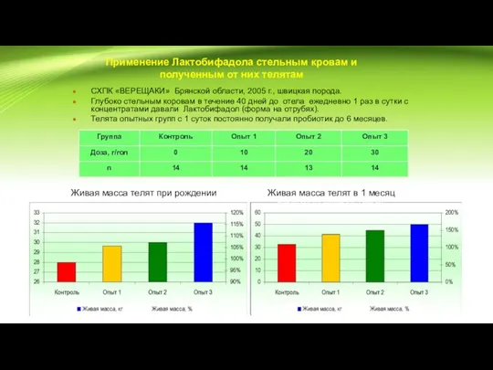 Применение Лактобифадола стельным кровам и полученным от них телятам СХПК «ВЕРЕЩАКИ» Брянской