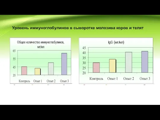 Уровень иммуноглобулинов в сыворотке молозива коров и телят