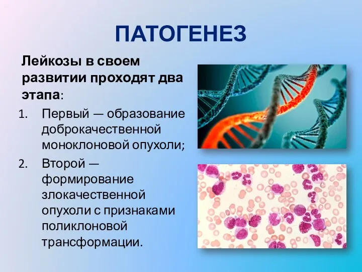 ПАТОГЕНЕЗ Лейкозы в своем развитии проходят два этапа: Первый — образование доброкачественной