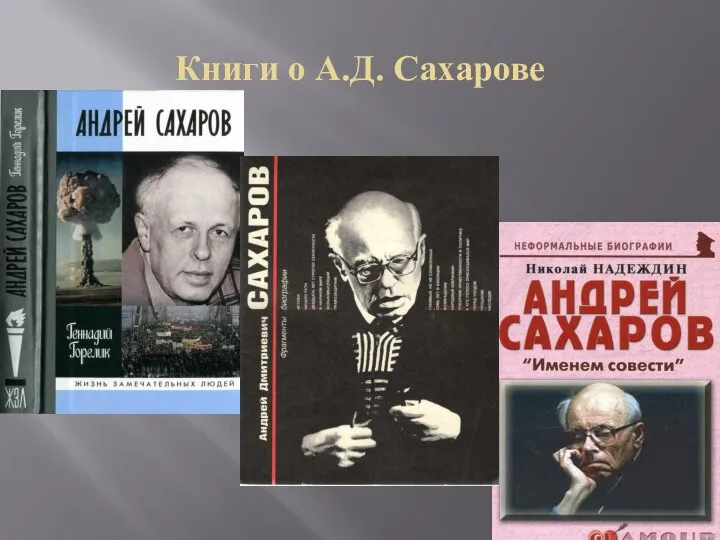 Книги о А.Д. Сахарове