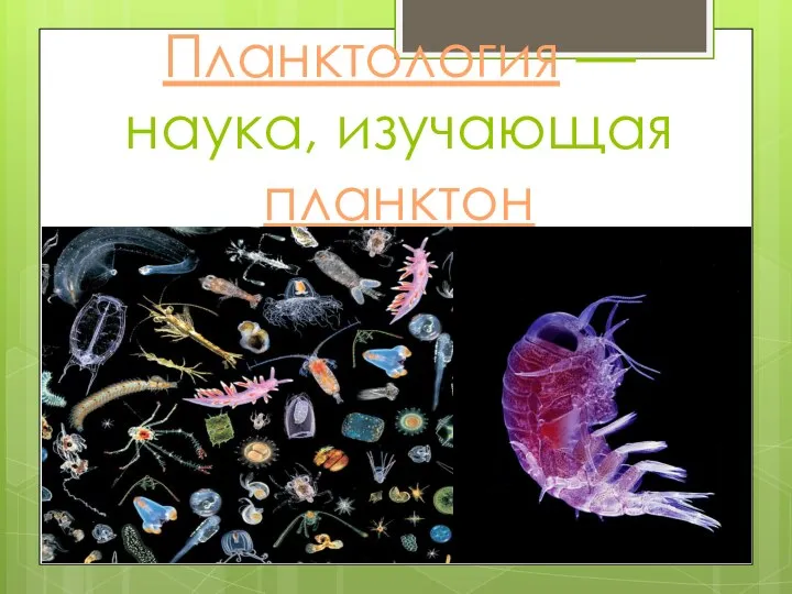 Планктология — наука, изучающая планктон