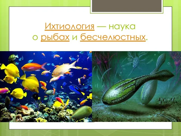Ихтиология — наука о рыбах и бесчелюстных.