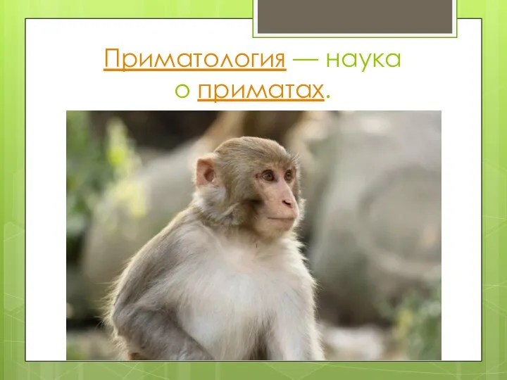 Приматология — наука о приматах.