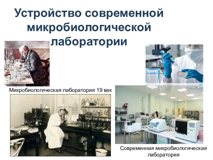 Устройство современной микробиологической лаборатории Микробиологическая лаборатория 19 век Современная микробиологическая лаборатория