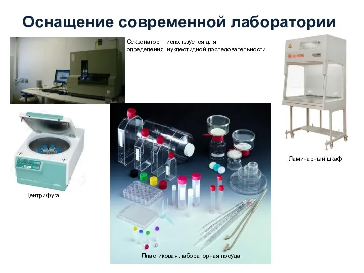Оснащение современной лаборатории Секвенатор – используется для определения нуклеотидной последовательности Центрифуга Пластиковая лабораторная посуда Ламинарный шкаф