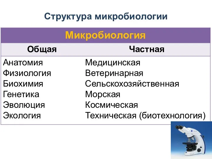 Структура микробиологии