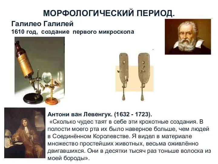МОРФОЛОГИЧЕСКИЙ ПЕРИОД. Галилео Галилей 1610 год, создание первого микроскопа Антони ван Левенгук.