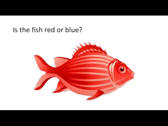 Is the fish red or blue?