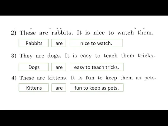 Rabbits are nice to watch. Dogs are easy to teach tricks. Kittens