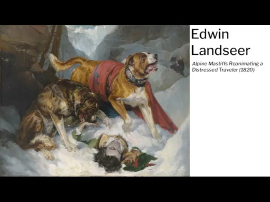 Edwin Landseer Alpine Mastiffs Reanimating a Distressed Traveler (1820)