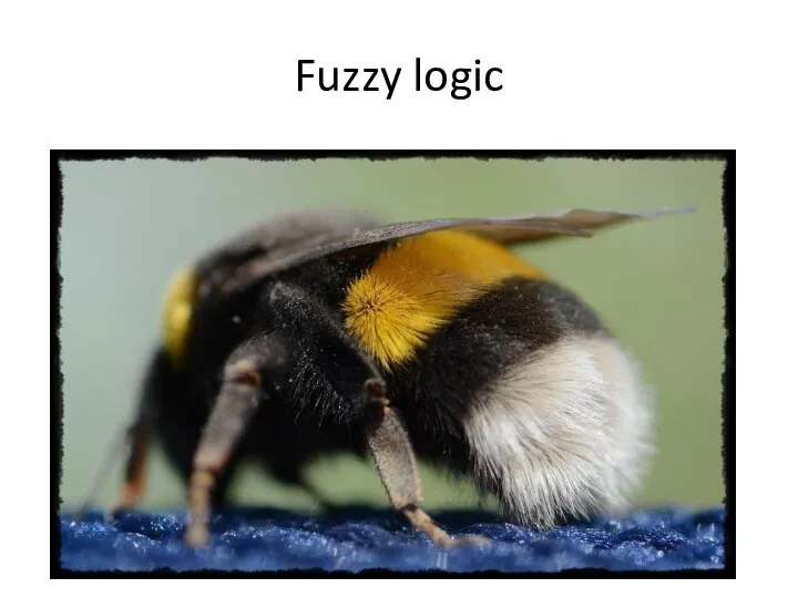 Fuzzy logic