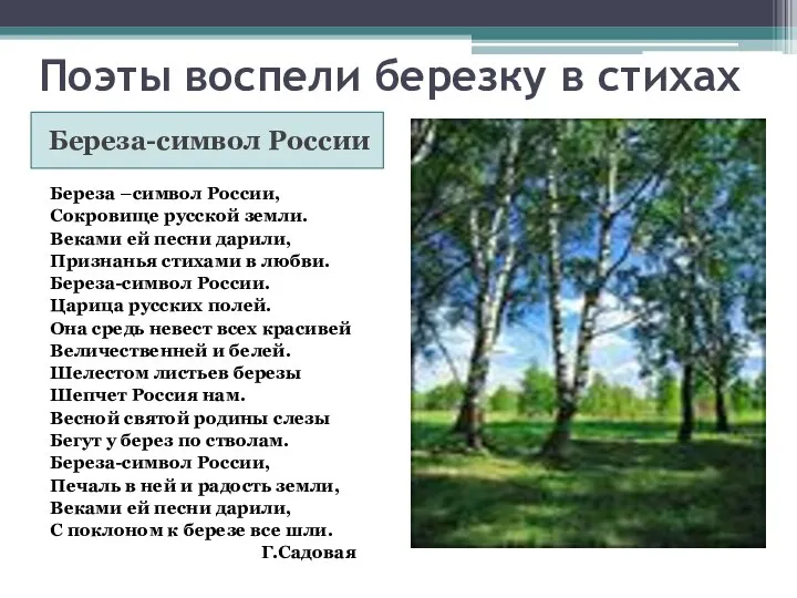 Поэты воспели березку в стихах Береза-символ России Береза –символ России, Сокровище русской