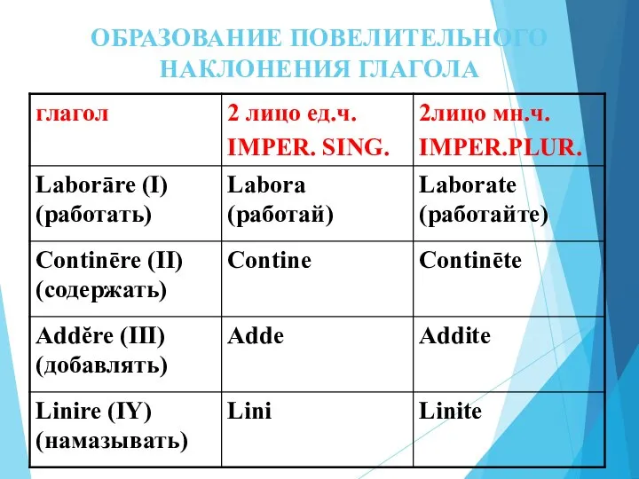 ОБРАЗОВАНИЕ ПОВЕЛИТЕЛЬНОГО НАКЛОНЕНИЯ ГЛАГОЛА