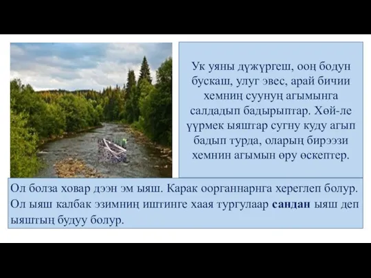 Ук уяны дүжүргеш, ооӊ бодун бускаш, улуг эвес, арай бичии хемниӊ суунуң