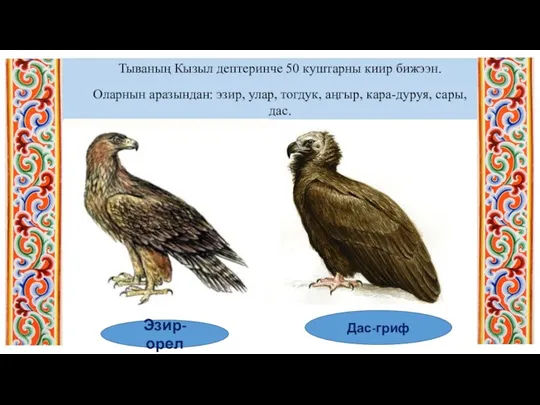 Тываның Кызыл дептеринче 50 куштарны киир бижээн. Оларнын аразындан: эзир, улар, тогдук,