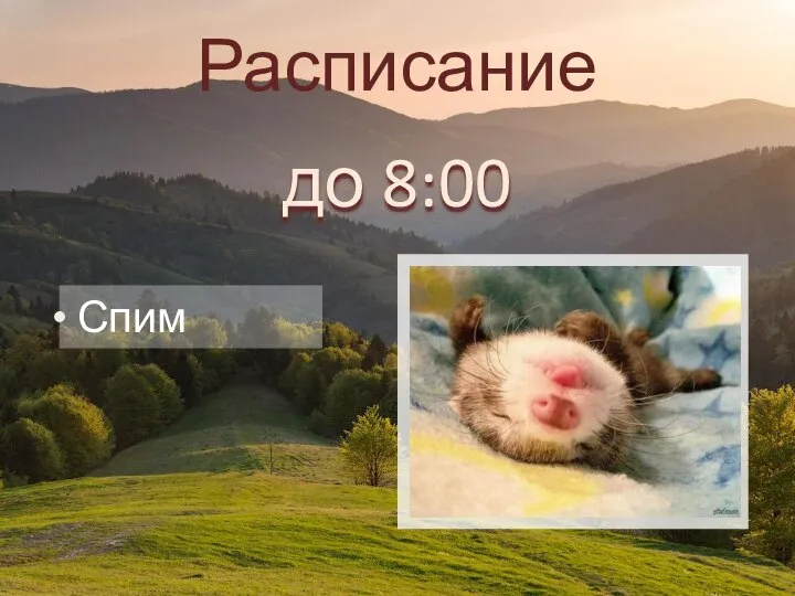 Спим до 8:00 Расписание