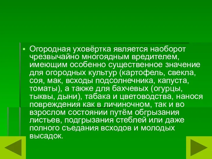 Огородная уховёртка является наоборот чрезвычайно многоядным вредителем, имеющим особенно существенное значение для