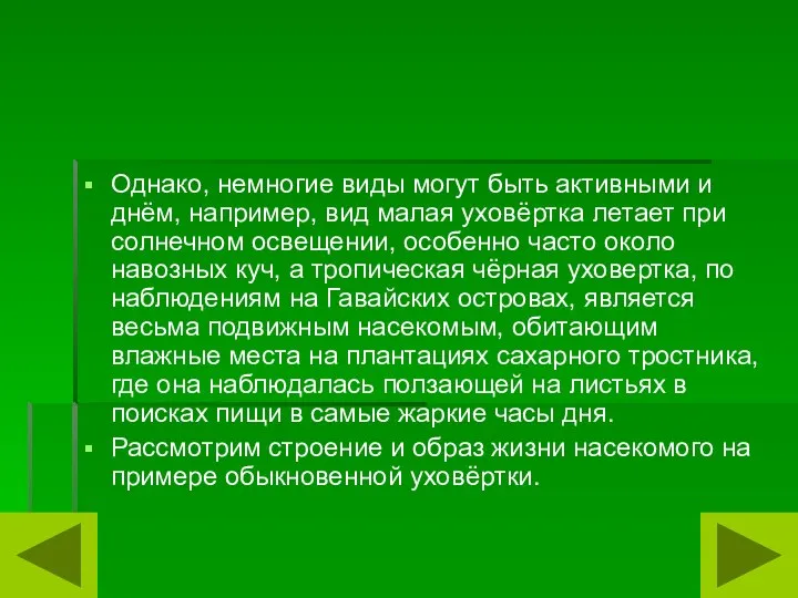 Однако, немногие виды могут быть активными и днём, например, вид малая уховёртка