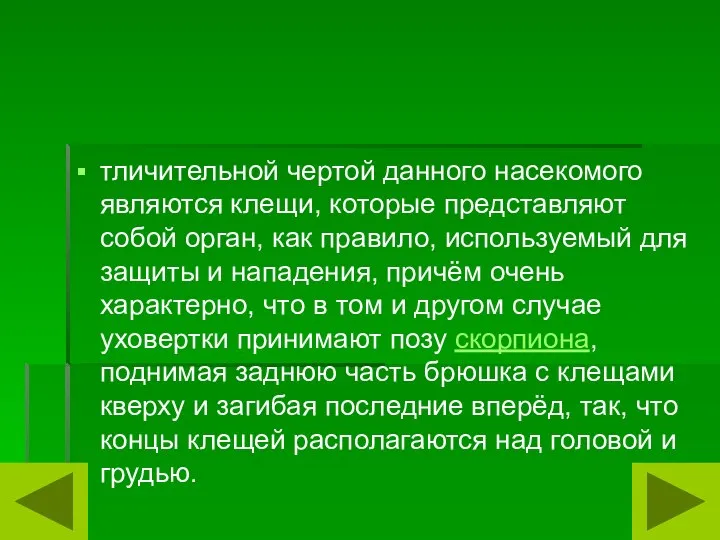 тличительной чертой данного насекомого являются клещи, которые представляют собой орган, как правило,