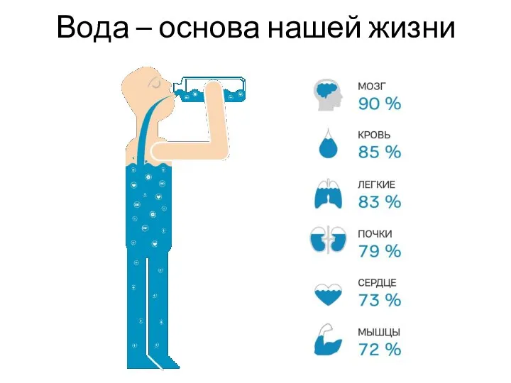 Вода – основа нашей жизни