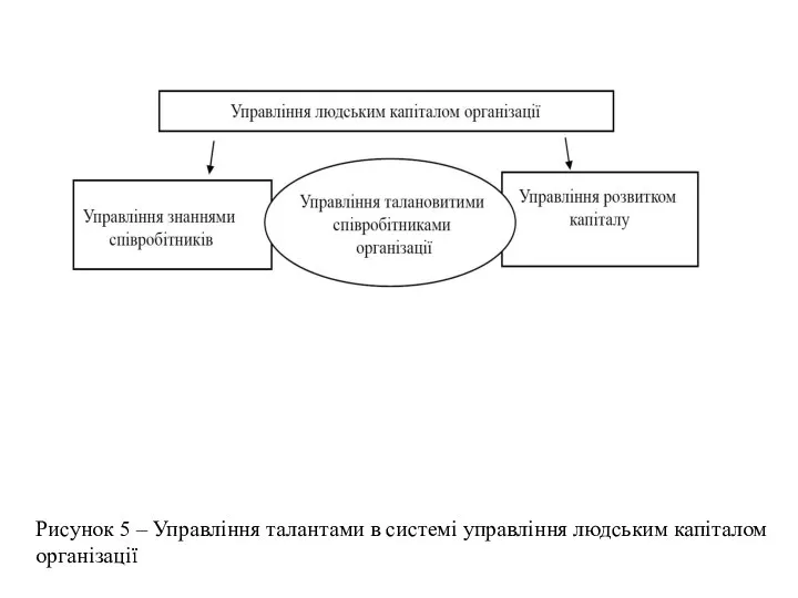 Рисунок 5 – Управління талантами в системі управління людським капіталом організації