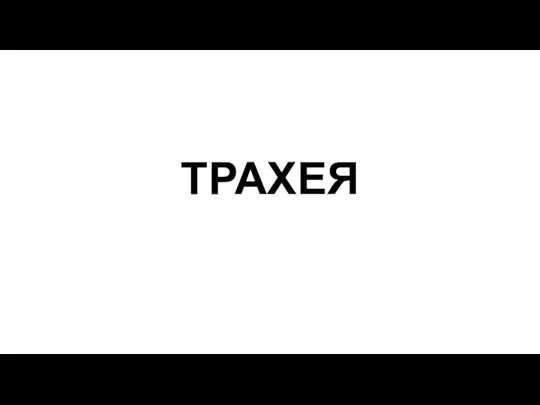 ТРАХЕЯ