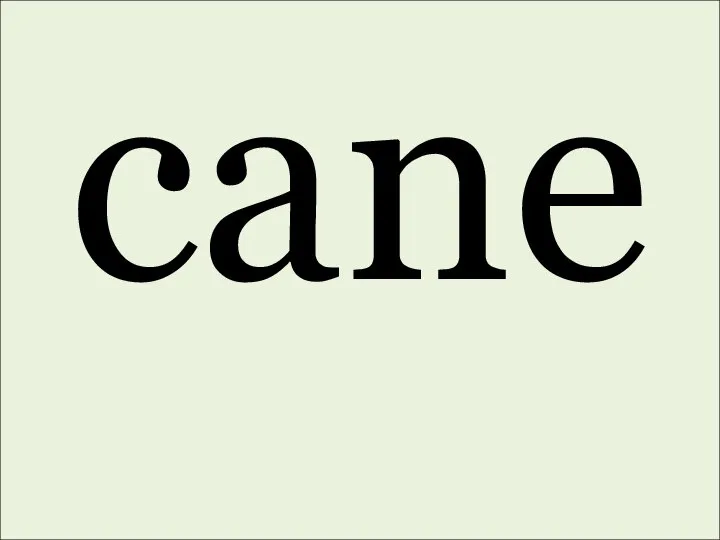 cane