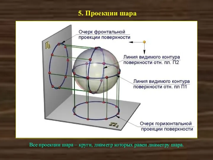 5. Проекции шара Все проекции шара – круги, диаметр которых равен диаметру шара.