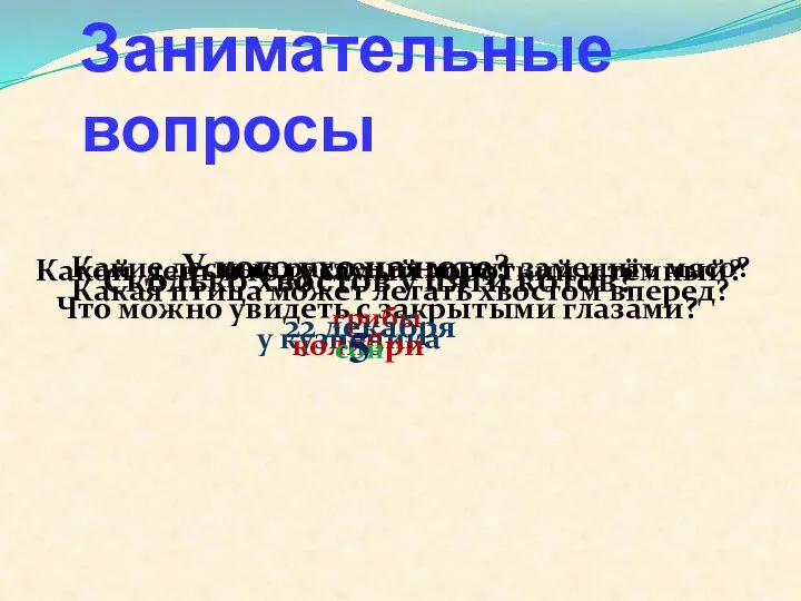 Что можно увидеть с закрытыми глазами? Занимательные вопросы Какие лесные растения могут