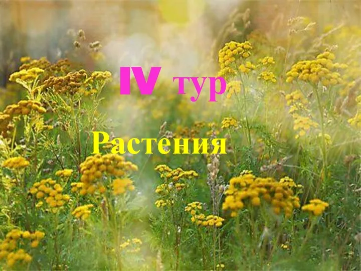 IV тур Растения