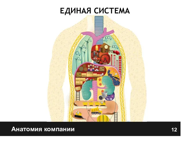 Анатомия компании ЕДИНАЯ СИСТЕМА 12