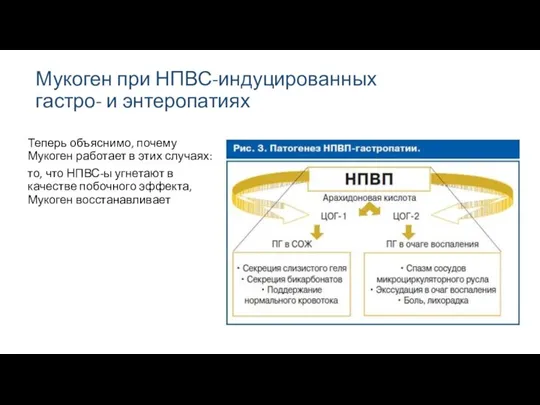 Мукоген при НПВС-индуцированных гастро- и энтеропатиях Теперь объяснимо, почему Мукоген работает в