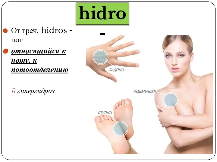 От греч. hidros - пот относящийся к поту, к потоотделению гипергидроз hidro-