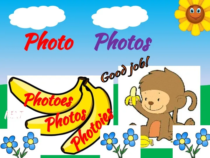 Photoies Photos Photoes Photo Photos Good job! NEXT